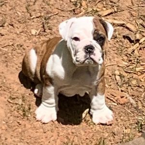 Meet your Posher, Kieu-anh